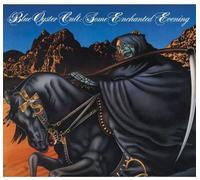 Some Enchanted Evening