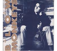 Some Kind Of Wonderful - Blow Monkeys, The 7" 45