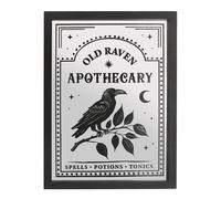 Something Different Arte de Pared Old Raven Apothecary Diseño (SD9926)