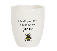 Something Different Encantadora Maceta de cerámica con Texto en inglés Thank You For Helping Me Grow, 13 cm x 11 cm (1 Unidad), Adorable ilustración de Abeja, Texto de Agradecimiento Dulce, Regalar a