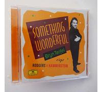 Something Wonderful - Bryn Terfel (1996-09-17)