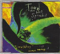 Something's always wrong [Single-CD]