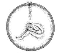 Something's Got To Give