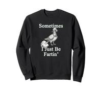 Sometimes I Be Fartin' Pigeon Retro Rata del Cielo Gráfico Sudadera