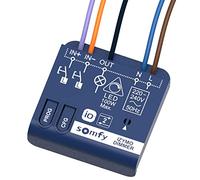 Somfy 1822663 - Microreceptor de iluminación con variación IZYMO | Tecnología io-homecontrol | Compatible con Tahoma (switch)
