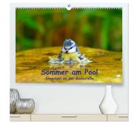 Sommer am Pool - Singvögel an der Badestelle (hochwertiger Premium Wandkalender 2026 DIN A2 quer), Kunstdruck in Hochglanz: Badende Singvögel im Garten