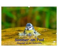 Sommer am Pool - Singvögel an der Badestelle (Wandkalender 2026 DIN A2 quer), CALVENDO Monatskalender: Badende Singvögel im Garten
