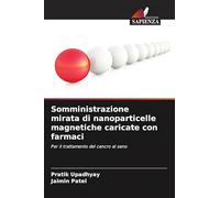 Somministrazione mirata di nanoparticelle magnetiche caricate con farmaci: Per il trattamento del cancro al seno