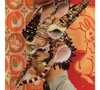 Son Ambulance - Someone Else's Deja Vu