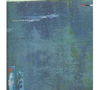 SON OF SAM - The Son Of Sam Primer (2LP) [Vinyl LP]