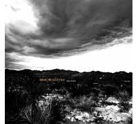 Son Of The Velvet Rat - Dorado