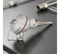 Sonda de sensor de temperatura PT100, rosca M20x1.5, cabezal terminal de termopar de acero inoxidable 304, para medición de temperatura industrial -200 °C a 420 °C (50 mm)