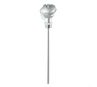 Sonda de sensor de temperatura RTD PT100 resistente al óxido y (300 mm)