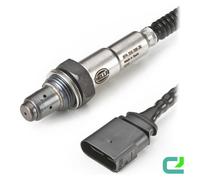 Escape > Captores de escape > Sonda Lambda