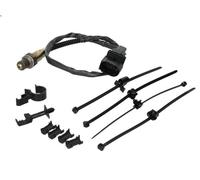 Sonda Lambda BOSCH 0 258 007 357 para AUDI A6 C6 (4F2) 4.2 2006-2011