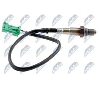 NTY ESL-CT-011 Sonda lambda
