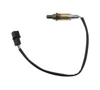 NTY ESL-MS-005 Sonda lambda