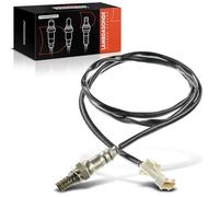 Sonda Lambda normalmente Sonda Antes Cat Diagnóstico Sonda Después de Cat para C de Elysee Xantia Xsara Zeta 206 301 307 406 bj. 1998/01-2018/12