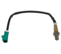 NTY ESL-FR-008 Sonda lambda