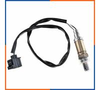 NTY ESL-CH-026 Sonda lambda