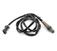 NTY ESL-CT-018 Sonda lambda