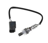 NTY ESL-NS-014 Sonda lambda