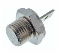 Sonda Temperatura Caldera Vaillant 252805