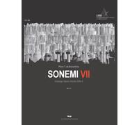 Sonemi: Catalogo Opere Uniche 2024.4 - Vol. VII
