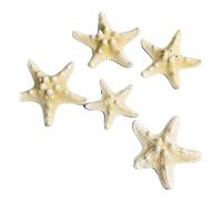 Sonew Decoración de Estrellas de Mar de Peces, Conjunto de Adornos únicos y Hermosos de Estrellas de Mar para el Hogar, Acuario, Marco de Fotos Artesanal, Manualidades de Viento (Tipo 1 (5-7,5 cm /