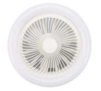 Sonew Ventilador de Techo con Luz, LED ventilador de techo silencioso de 9.8 pulgadas 36W con 3 velocidades de viento y 3 fuentes de luz, función de temporizador de 1h, 2h, 4h
