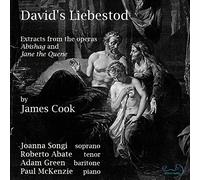 Songi - James Cook: David's Liebestod