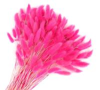 Songjum 120 colas de conejo secas, flores, colas de conejo lagurus, decoración de hierba de las pampas, color rojo rosa, decoración de hierba seca para arreglos florales, ramos de boda, decoración del
