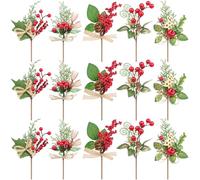 Songjum 15 Piezas Ramas de Navidad para Decoración, Decoración de Ramas de Pino de Navidad Artificiales con Aguja de Pino de Piña para Coronas de Navidad Decoración de Jarrones para Hogar