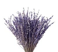 Songjum Ramo de Lavanda Manojo de Lavanda Seca Natural Estilo Boho Decoración DIY con Flores Naturales Regalo para Hogar Oficina y Banquete Decoración Floral Auténtica