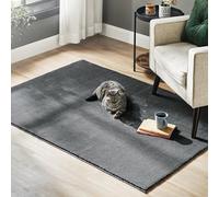 SONGMICS Alfombra, 120 x 170 cm, Alfombra Antideslizante, Decoración del Hogar, para Salón, Dormitorio, Lavable a Máquina, Estilo Moderno, Gris Carbón TAR012G02
