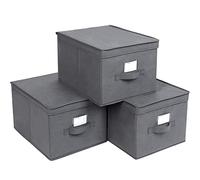 SONGMICS Juego de 3 Cajas Plegables de Alcon Tapas, 40 x 30 x 25 cm | Cubos de Tela con Portaetiquetas, Gris, Colección TINA RFB03G