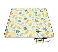 SONGMICS Manta de Picnic, 200 x 200 cm, Alfombra de Picnic para Playa, Parque, Patio, al Aire Libre con Capa Impermeable, Lavable a Máquina, Plegable, Patrón de Piña GCM087Y01