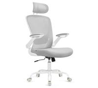 SONGMICS Silla de Oficina, de Malla, Ergonómica, Soporte Lumbar, Sin Reposacabezas
