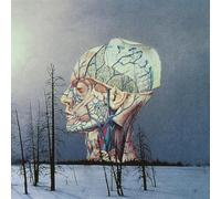 Songs for a Dead Pilot [Vinilo]