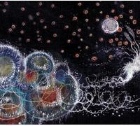 Songs In The Night by Samantha Crain & The Midnight Shivers (2009-04-28)