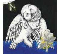 Songs: Ohia - The Magnolia Electric Co.
