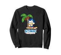 Sonic & Friends - Sonic 001 Sudadera