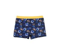 Sonic The Hedgehog Bañador para Niño, Sonic Shorts de Baño Boxer, Bañador de Natación Infantil, Talla 3 Años, Amarillo