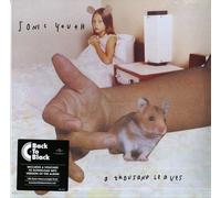 Sonic Youth - A Thousand Leaves (2 LP)