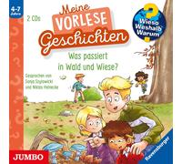 Sonja Szylowick Wieso? Weshalb? Warum? Vorlesegeschichten: Was passiert in (CD)