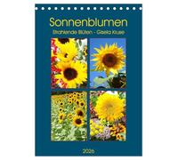 Sonnenblumen - Strahlende Blüten (Tischkalender 2026 DIN A5 hoch), CALVENDO Monatskalender: Sonnenblumen satt - im Feld und in der Vase