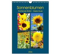 Sonnenblumen - Strahlende Blüten (Wandkalender 2026 DIN A4 hoch), CALVENDO Monatskalender: Sonnenblumen satt - im Feld und in der Vase