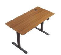 SONNI Escritorio eléctrico regulable en altura, 100 x 60 cm, motor sin escobillas con 3 funciones de memoria, sistema anticolisión, gestión de cables, mesa de pie para oficina en casa, 60 kg de carga