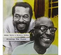Sonny Terry - Blowing the Fuses