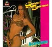 Sonora Tropicana - Acariciame
